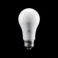 product_hero_looped_video_color_bulb
