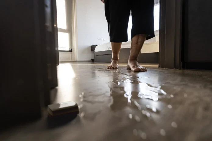 Wireless Water Leak Detector